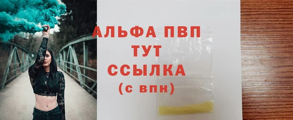 крисы Абаза