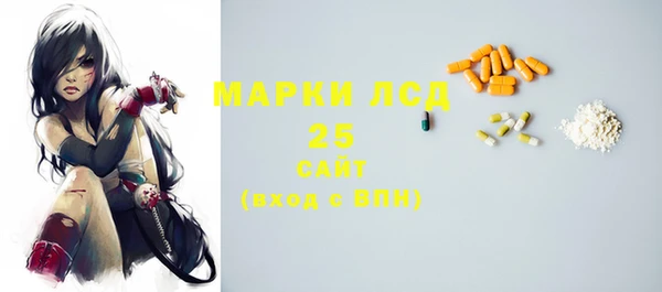 крисы Абаза