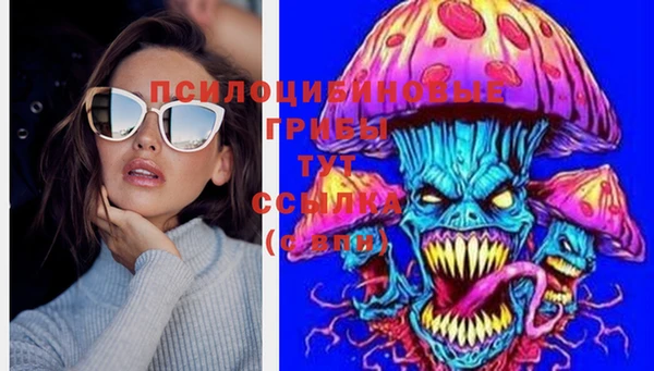 крисы Абаза