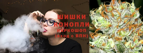 крисы Абаза