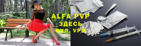 крисы Абаза