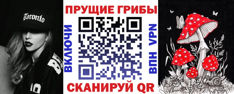 Псилоцибиновые грибы Cubensis цена Шумерля