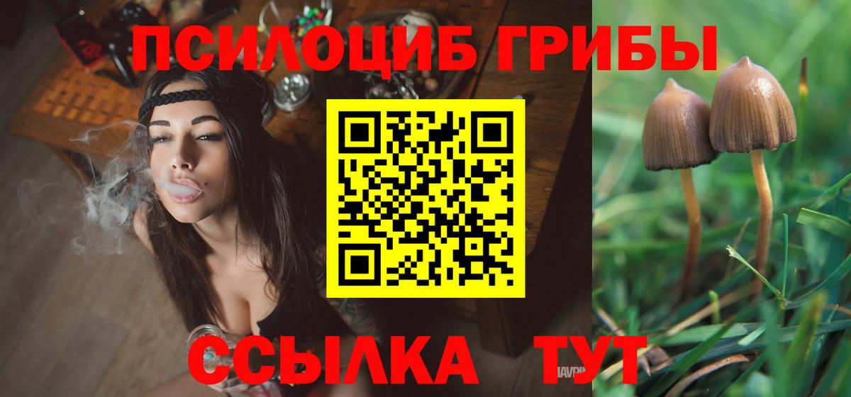 Шумерля  наркошоп  Вход с VPN  Псилоцибиновые грибы прущие грибы 