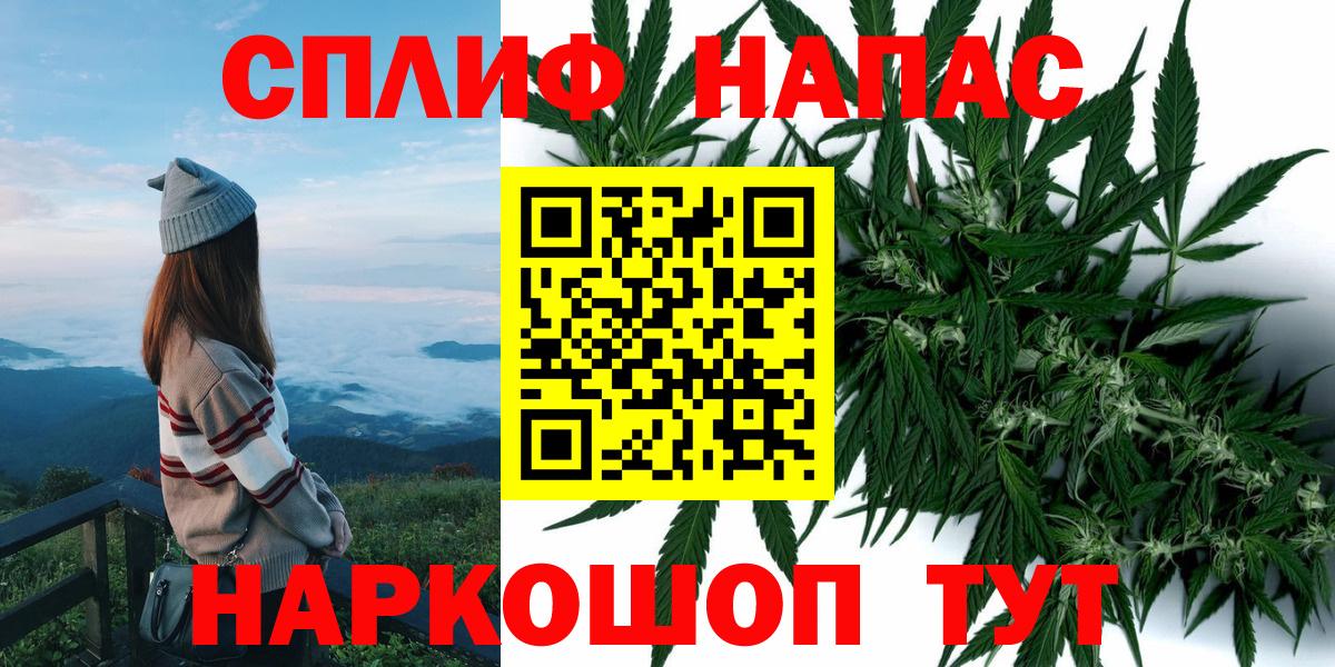 Канабис сатива Шумерля